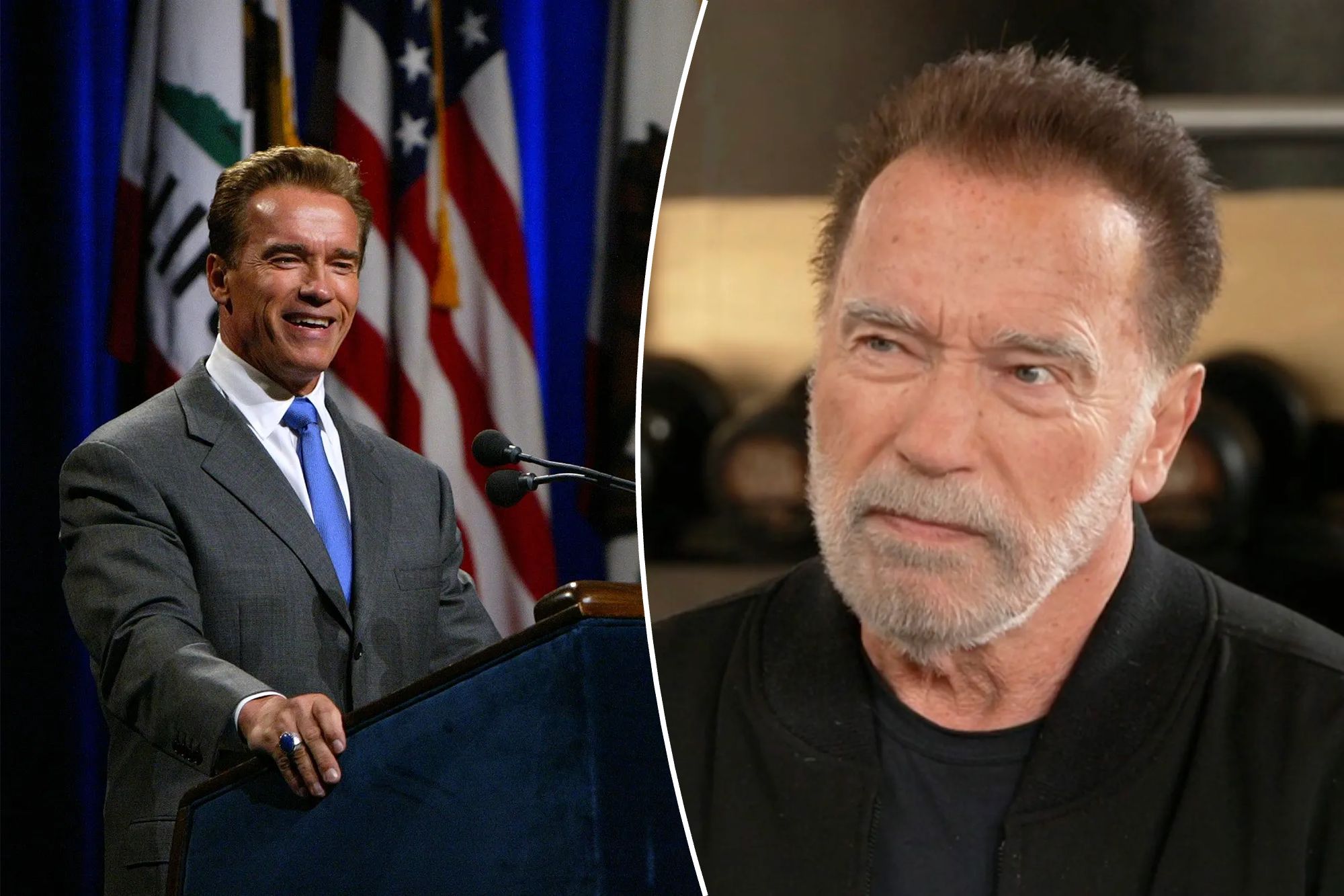 Schwarzenegger Meaning: Power, Ambition, Heritage and The American Dream