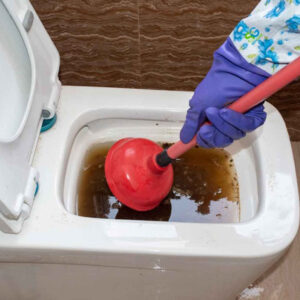 Blocked Toilet Dream: Good or Bad?