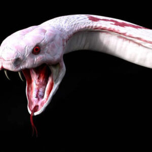 Dream of White Snake: Exploring the Symbolic Meaning