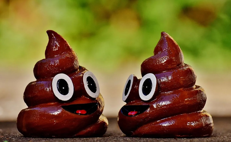 Dreaming of Poop Meaning: 8 Interpretations You Need to Know