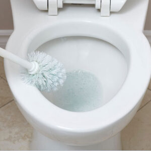 Dreaming of a Toilet Bowl: Unraveling Its Symbolic Meaning