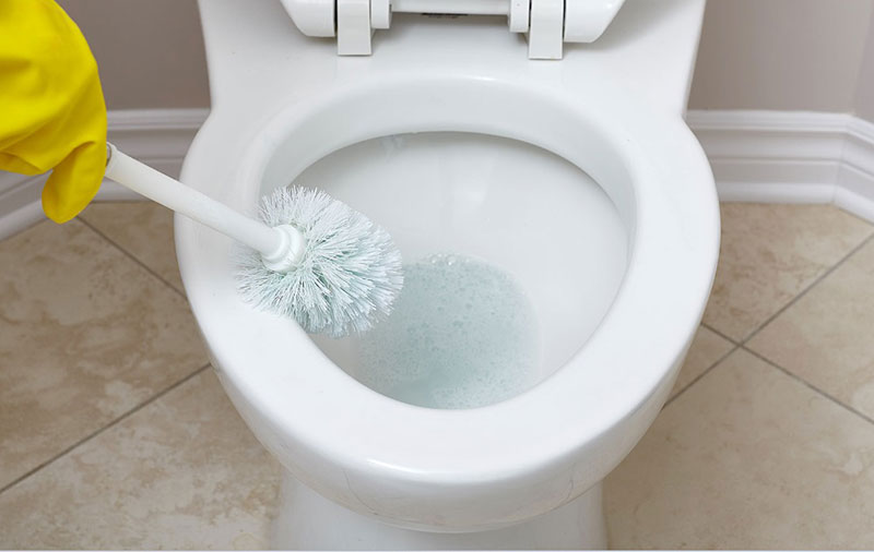 Dreaming of a Toilet Bowl: Unraveling Its Symbolic Meaning
