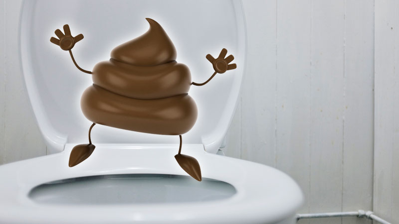 Does Dreaming of Poop Really Mean Money? 7 Reasons Explained