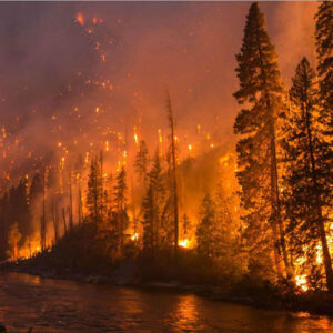 Dreams About a Fire: A Symbol of Transformation and Renewal