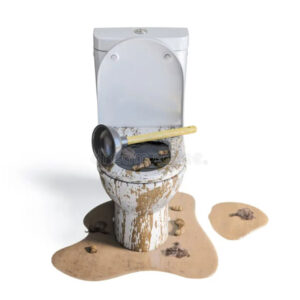 Dreams About Toilet Overflowing with Poop: Good or Bad