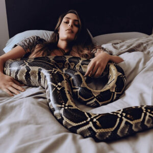 Dreams of Snakes in Bed: Unveiling the Enigma