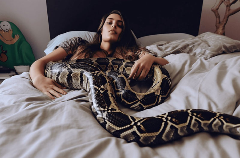 Dreams of Snakes in Bed: Unveiling the Enigma