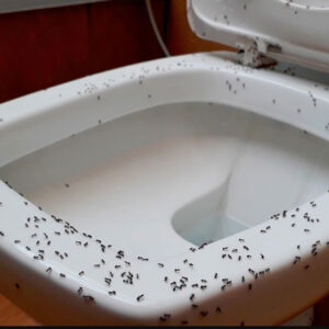 Seeing Dirty Toilet in Dream Meaning: Uncovering the Hidden Messages