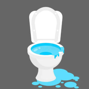 Unveiling the Spiritual Meaning Behind Overflowing Toilet Dreams