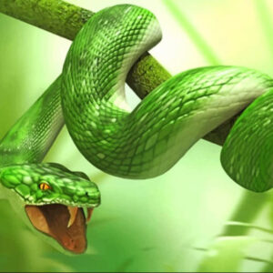 Understanding the Spiritual Meaning of a Green Snake