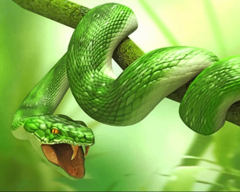 Understanding the Spiritual Meaning of a Green Snake