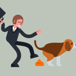 Spiritual Meaning of Stepping in Poop: Decoding the Message