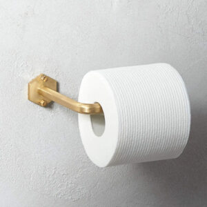 Toilet Paper Dream Meaning: Decoding the Message