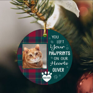 What It Means to Dream of a Departed Cat?