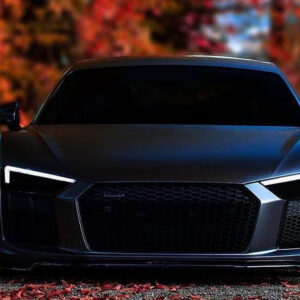 Decoding the Meaning Behind Dreaming of a Black Car